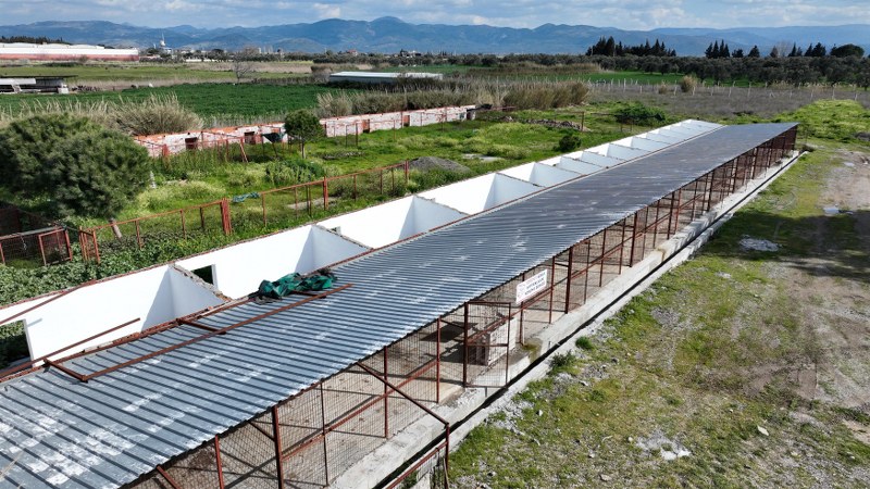 10 Mart tarihinde, uzun süredir kullanılmayan Çıkrıkçı Hayvan Barınağı