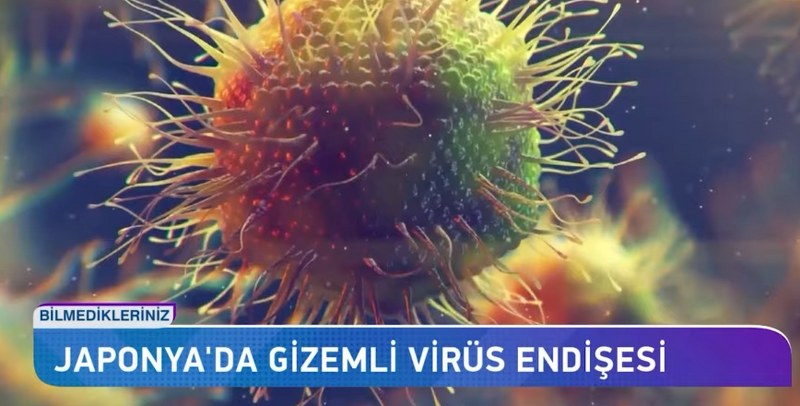 Japonya'da ortaya çıkan ve semptomları arasında boğaz ağrısı, bademcik iltihabı, zatürre ve menenjit gibi belirtiler bulunan ölümcül bir bakteriyel enfeksiyon salgını hızla yayılıyor.