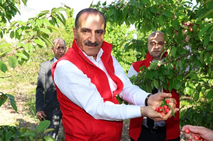 Türkiye Kiraz İhracatında Yeni Bir Rekora Hazırlanıyor