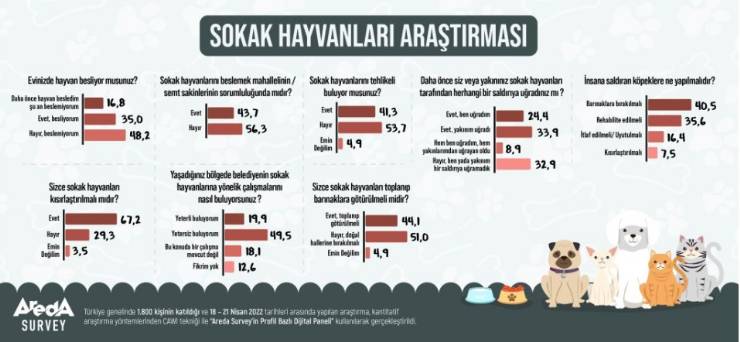 Areda Survey, sokak hayvanları, saldırgan köpekler, barınaklar, rehabilitasyon, hayvan hakları, Türk halkı, sokak hayvanları araştırması.