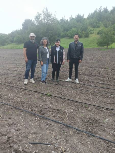 Büyükşehir’den Tıbbi ve Aromatik Bitki Yetiştiricilerine Tam Destek