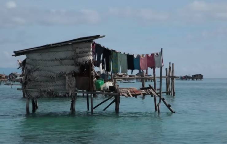 Hiçbir devlet tarafından kabul edilmeyen Bajau'lar, "Deniz Çingeneleri" olarak bilinir ve yaşamlarını tamamen su üzerinde sürdürürler. Bu yazıda, Bajau'ların su üzerindeki yaşamlarını nasıl sürdürdüklerini keşfedeceğiz.