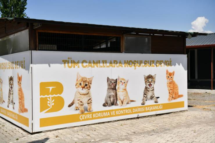 VETBÜS, Balıkesir Büyükşehir Belediyesi, hayvan sahiplendirme, sokak hayvanları, Arbil Akın, Balıkesir Hayvan Koruma Derneği, hayvan dostu projeler, Ovaköy Sokak Hayvanları Geçici Bakımevi.