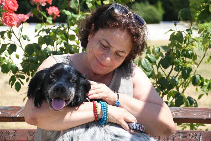 Balıkesir Büyükşehir Belediyesi, köpek, şiddet, sahiplenme, tedavi, hayvansever, Cesur, İvrindi