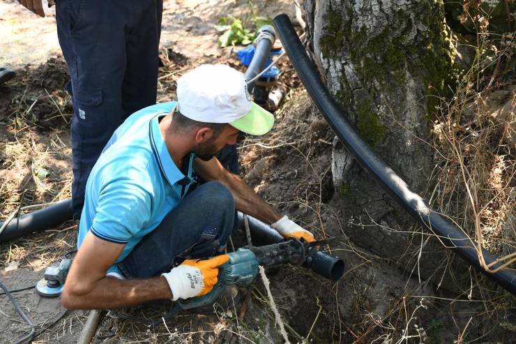 Gedeve Bölgesi, anlaşma yönetimi, Balıkesir Büyükşehir Belediyesi, Ahmet Akın, zeytin ağacı, BASKİ, Erdek