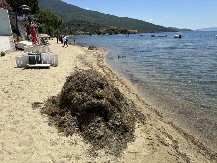 Narlı Mahallesi, deniz çayırları, plaj temizliği, Çevre, Şehircilik ve İklim Değişikliği İl Müdürlüğü, Valilik