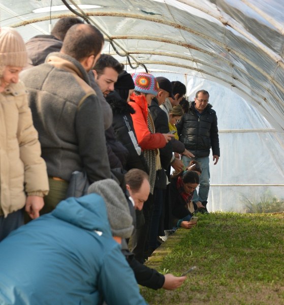 BAÇEM 4. Zeytin Yetiştiriciliği Kursu Sona Erdi