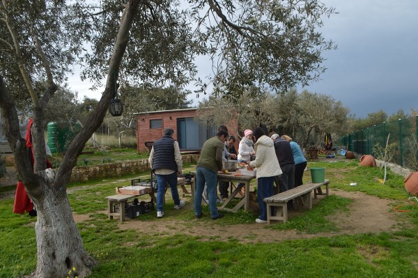 Sokak Hayvanları İçin İmece