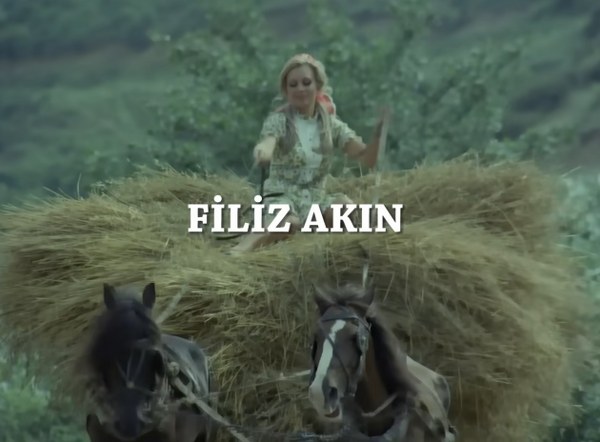 Filiz Akın, Türk sinemasının en ünlü ve başarılı oyuncularından biridir. 2 Ocak 1943'te Ankara'da doğdu. Asıl adı Fatma Filiz Akın'dır. Ankara Koleji'nde eğitim gördükten sonra, 1962 yılında Artist dergisinin düzenlediği yarışmada birinci oldu ve sinema dünyasına adım attı. Yeşilçam'ın altın çağında birçok unutulmaz filmde rol aldı ve Türk sinemasının en sevilen yüzlerinden biri haline geldi.