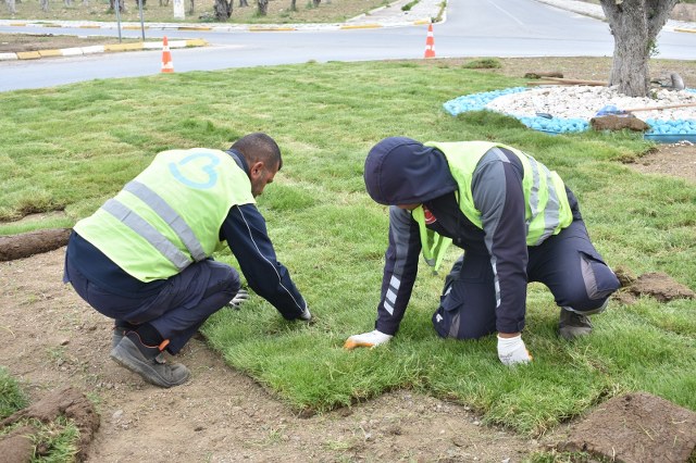 Büyüksehir Belediyesi ürettigi çimleri kullaniyor (1)_640_426