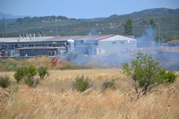 Ayvalık
