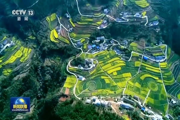 1065778414