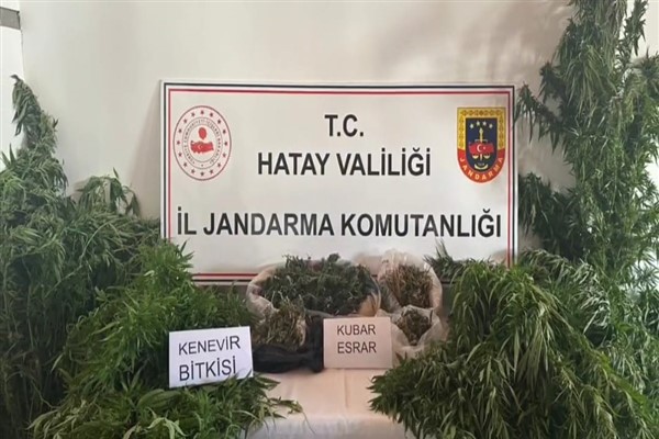 163428401