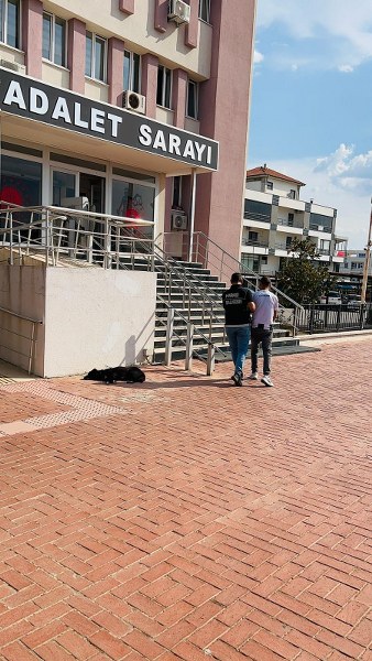 AYVALIK’TA 265 ADET UYUŞTURUCU HAP ELE GEÇİRİLDİ