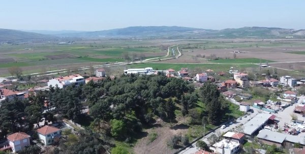 Manyas Nüfusu Düşmeye Devam Ediyor